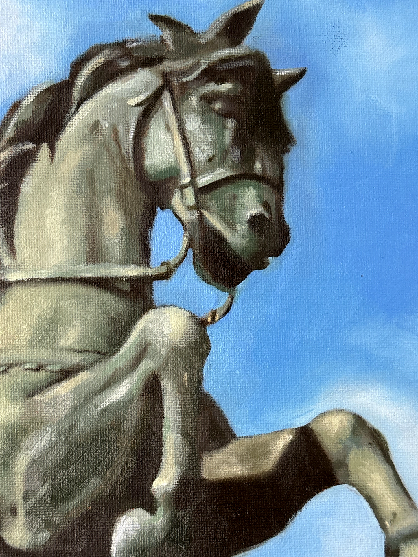 Warrior Horse